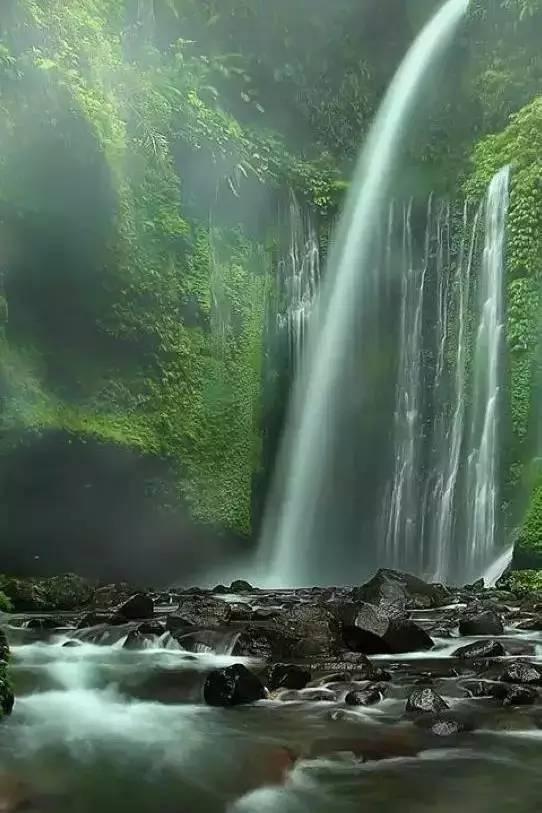 清理草坪