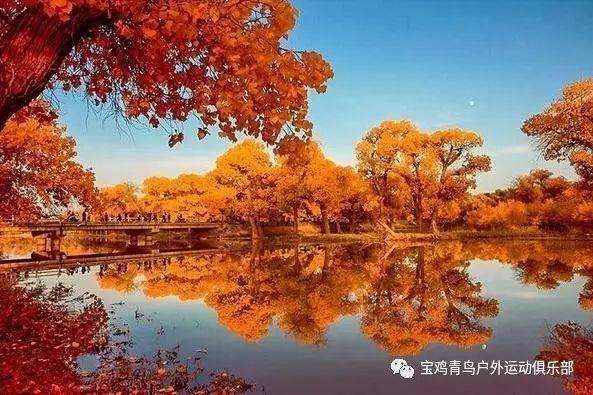 海滩度假胜地逃脱