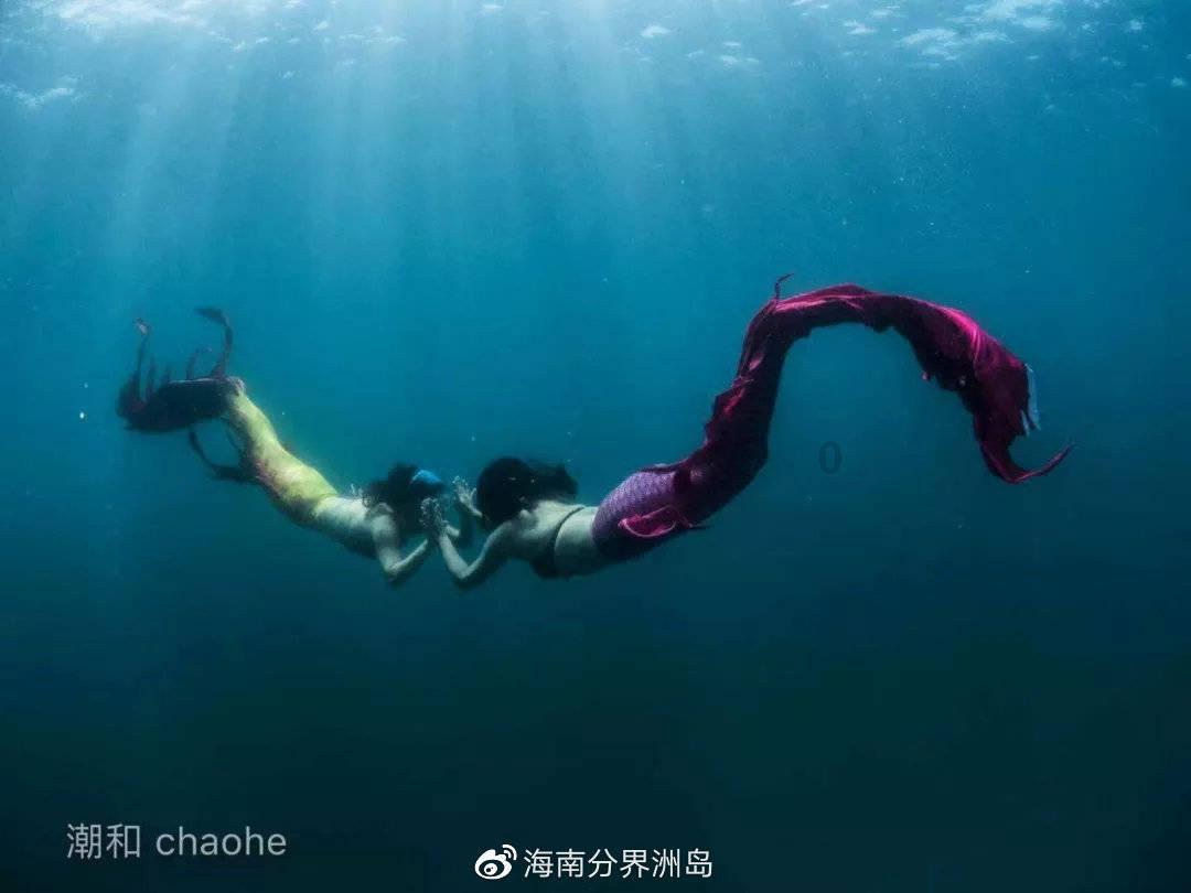 雨花台大战李秀成的手下士兵多于湘军，为何还是失败了？游戏画面