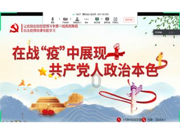 邵阳县小溪市镇:党旗在抗冰雪一线飘扬