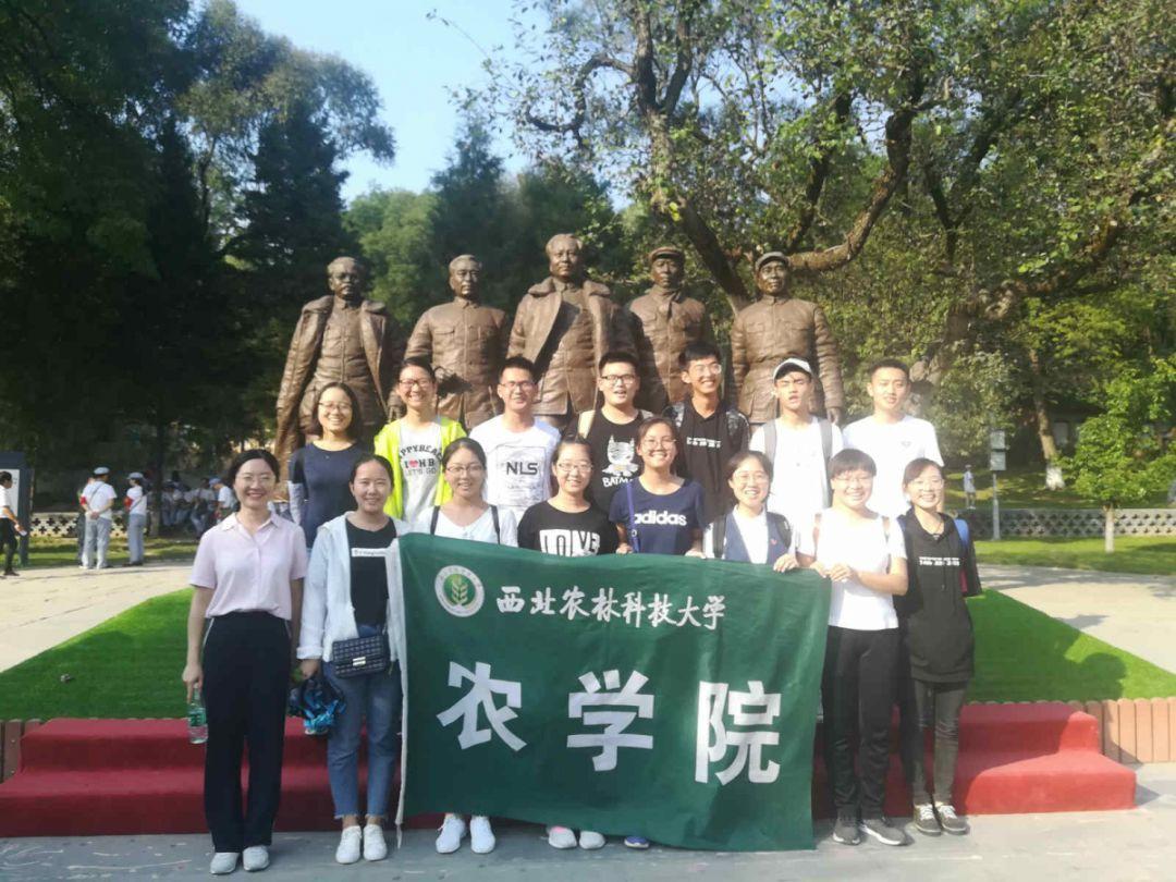 史上最贱小游戏之TV秀