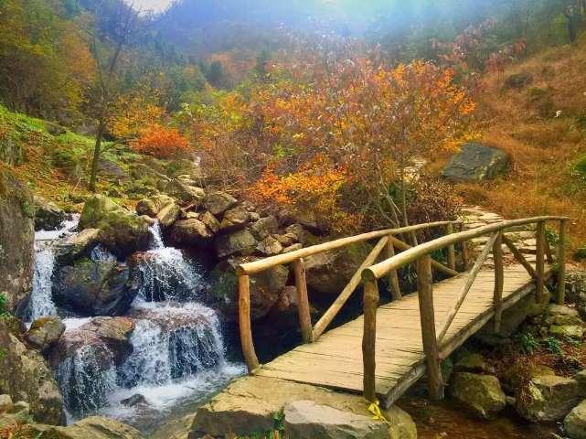 西方大卡车找字母