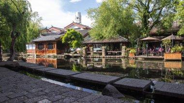 逃离变色龙森林